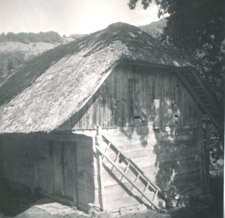 eika image